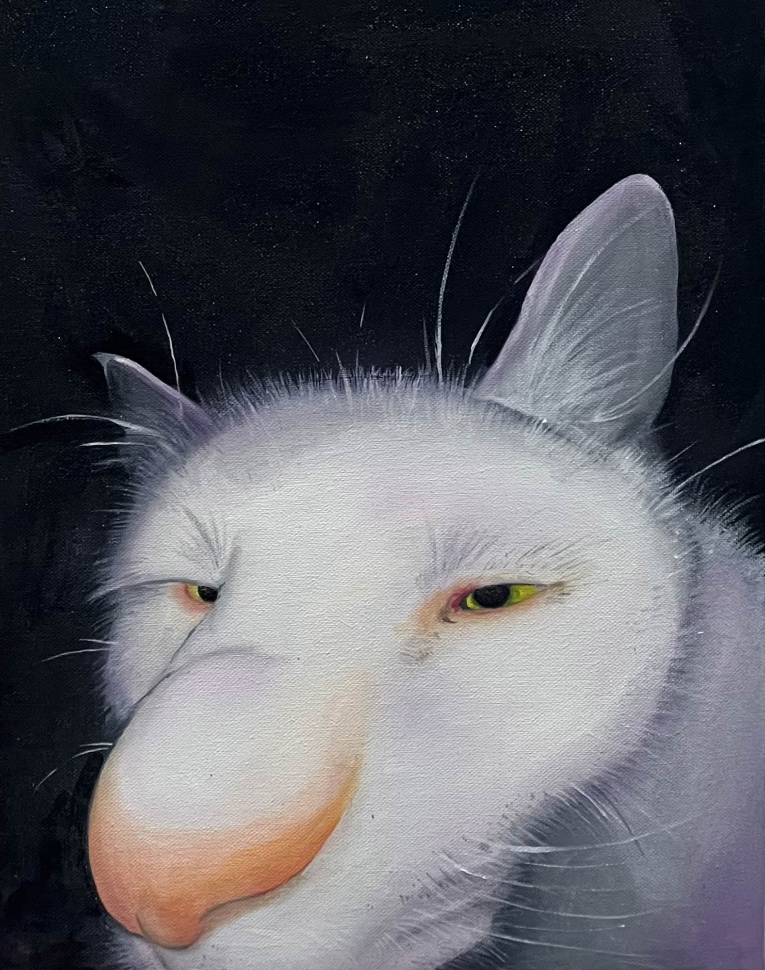 flashed-kitten